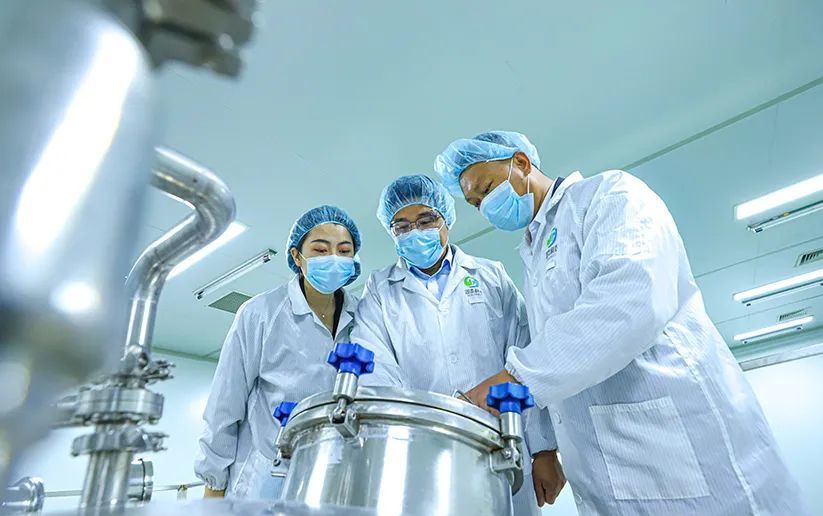 科技賦能“植物工廠” 張掖農特產品提質增效的醫藥新路徑